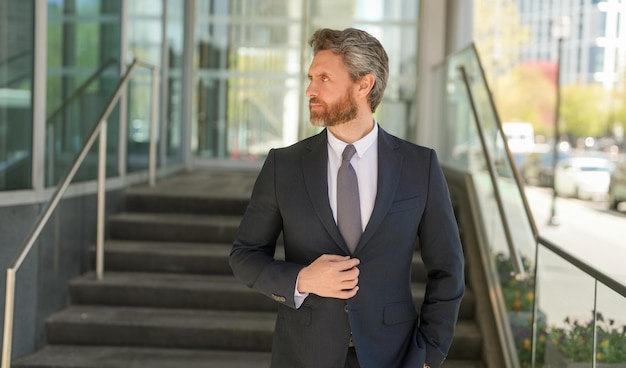 Business professional, male executive, suit and tie, professional demeanor